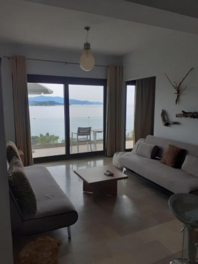 Superior Suite Cronus